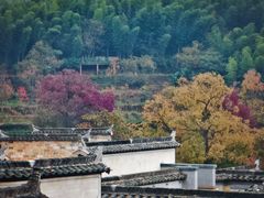 -塔川景区