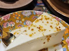 -古树酸奶(八廓南街店)