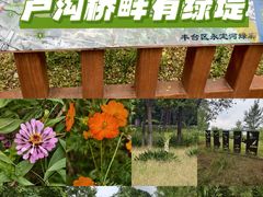 -绿堤公园