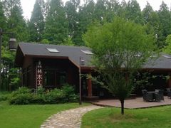 -黄海国家森林公园