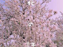 -海棠花溪(元大都城垣遗址公园)