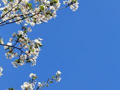-杭州植物园