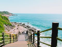 -广东惠东海龟国家级自然保护区