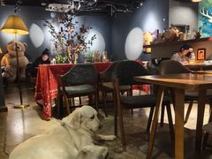 -咖法森林·咖啡  酒吧(天河店)