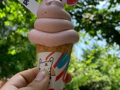 -胖虎打面团(九眼桥店)