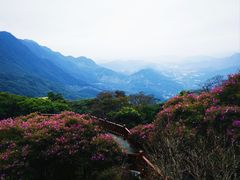 -广州市石门国家森林公园