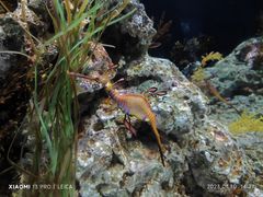-新加坡海洋生态馆