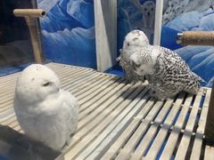 -成都浩海立方海洋公园