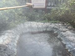 -天芳悦潭度假村温泉