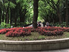 -共青国家森林公园-售票处