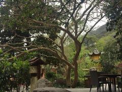 温泉池-黄山温泉国际旅游度假区