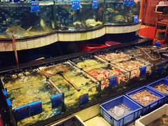 -揭阳钟记小食(福田新村店)