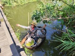 -溱湖国家湿地公园