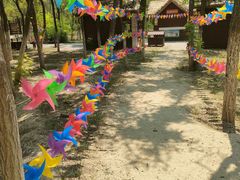 -西青郊野公园
