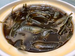 醉蝦-舜泉海鲜(百官店)