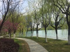 -天鹅湖体育公园