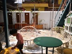 -喵屿·大理花园猫咖