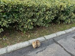 -东庄海岸高尔夫俱乐部