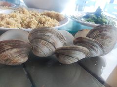 -七鲜渔港美食餐厅(巽寮湾海景店)