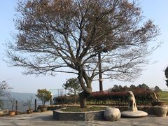 -缥缈峰景区