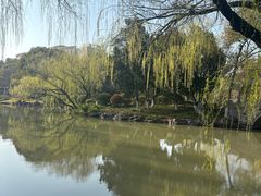 -瀛洲公园