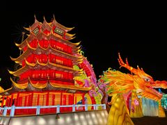 -武汉园博园(武汉自然博物馆)