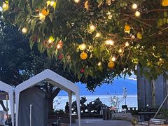 -大理老字号·舟渔的鱼野生菌海景餐厅(双廊店)