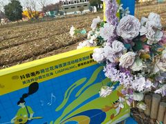 -荷兰花海