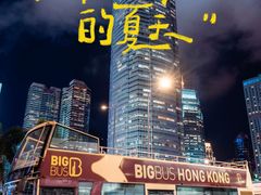 -Big Bus Tours 敞篷观光巴士