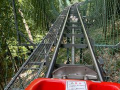 -藏龙百瀑风景区