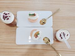 -共舞时光猫咖·狗咖(新街口店)