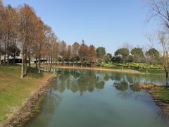 -尚贤河湿地