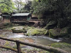 -碧峰峡风景区