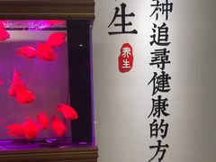 -金蚁康•经络调理•肩颈按摩(万达金街店)