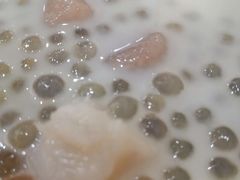 -糖潮糖水铺(省府店)