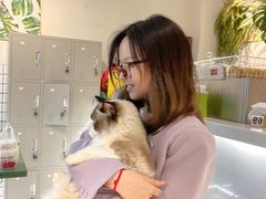 -喵喵咪呀布偶猫咖(春熙路店)