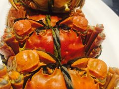 -新光酒家·河豚·海鲜·蟹料理(浦东店)