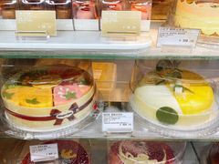 -哈根达斯(深圳海岸城店)