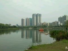 -飞来湖湿地公园