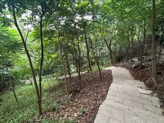 -梧桐山风景名胜区