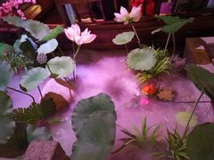 -韵秋荷(宝山龙湖天街店)