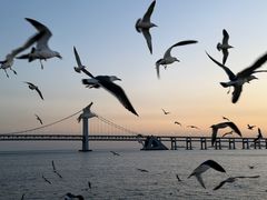 -星海广场