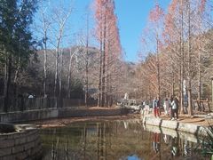 -白水寺森林公园