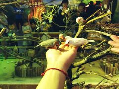 -萌宠奇缘