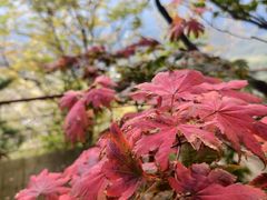 -丹东天桥沟景区