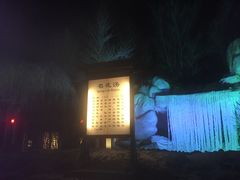 -陆地游轮吉林神农温泉