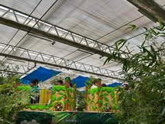 -南宫五洲植物乐园