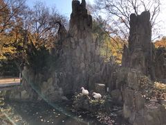 -山东大学(趵突泉校区)