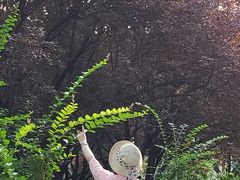 -玲珑塔公园