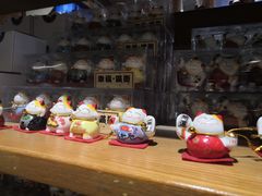 -猫咪博物馆(顶澳仔猫街店)